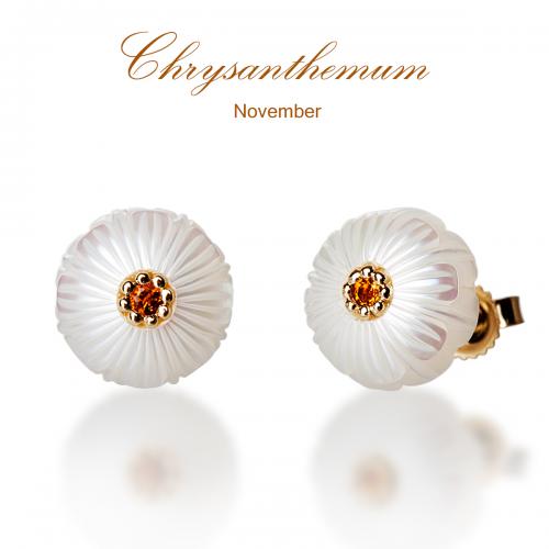 chrysanthemum Pearl Flower